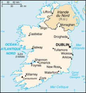 À la brocante, j'ai découvert une pièce d'euro irlandaise avec un motif de carte géographique, soigneusement conservée. Cette pièce captivait par sa représentation détaillée du pays. À côté, une caméra vintage immortalisait des moments précieux, une radio ancienne diffusait des récits historiques irlandais captivants, tandis qu'un livre ancien sur la géographie enrichissait cette découverte culturelle et géographique remarquable.